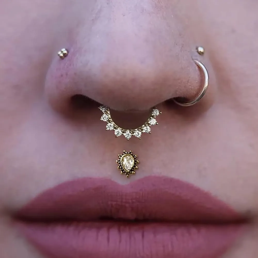 1Pack 16G/8mm Surgical Stainless Steel Segment Nose Rings,Cartilage Clicker Hoop Earrings for Rook,Daith,Tragus, Gold Silver septum rings for men and women