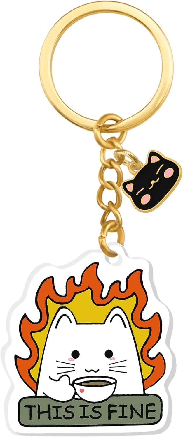 Funny Cat Gifts For Women Funny Keychain Gifts For Cat Lovers Men Women Gag Cat Stuff