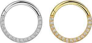 Men Women 316L Surgical Steel Hinged Nose Rings Hoop for Nostril Septum Cartilage Helix Daith Tragus Rook Conch Lip Ear Lobe Piercings