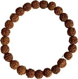 NAISHA Rudraksha & Crystal Sphatik Bead Bracelet, & Natural Himalaya Rudraksh Seed Bracelets