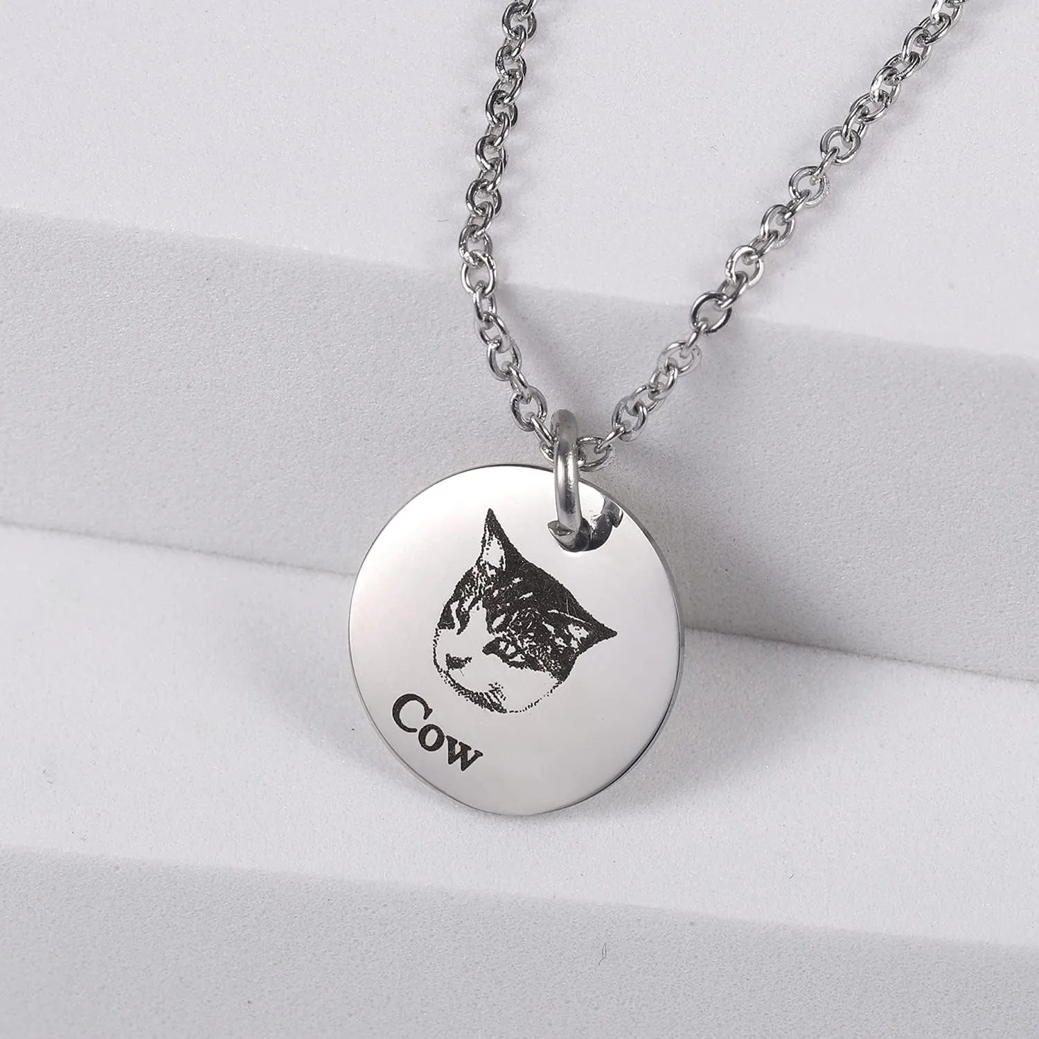 Personalized Pet Photo Disc Necklace For Women Tiny Cat dog Name Pendant Necklaces Custom Animal 316L Stainless Steel Jewelry