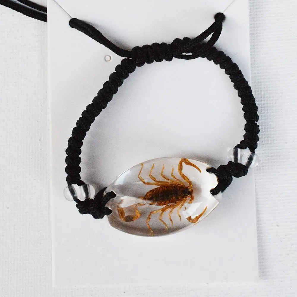Real Scorpion Necklace, Real Scorpion Pendant Necklace