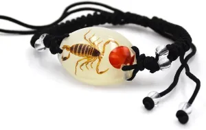 Real Scorpion Necklace, Real Scorpion Pendant Necklace