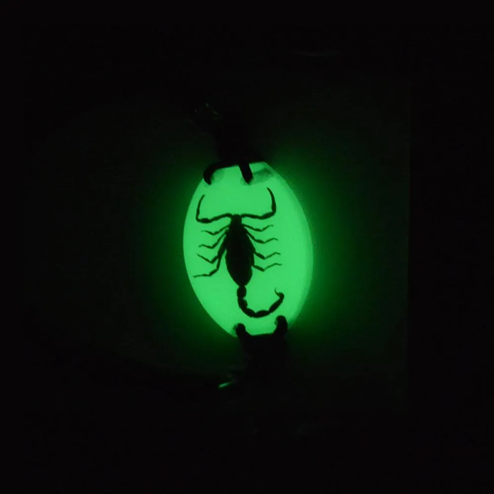 Real Scorpion Necklace, Real Scorpion Pendant Necklace