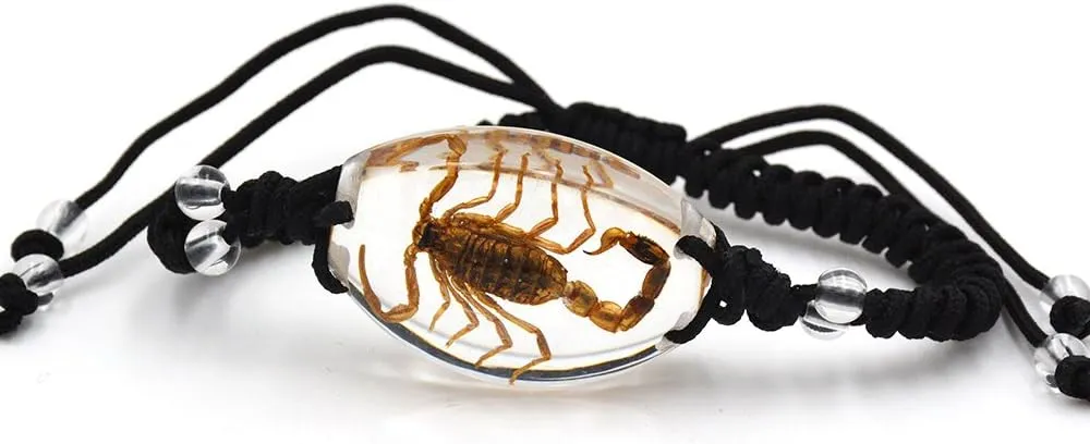 Real Scorpion Necklace, Real Scorpion Pendant Necklace