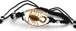 Real Scorpion Necklace, Real Scorpion Pendant Necklace