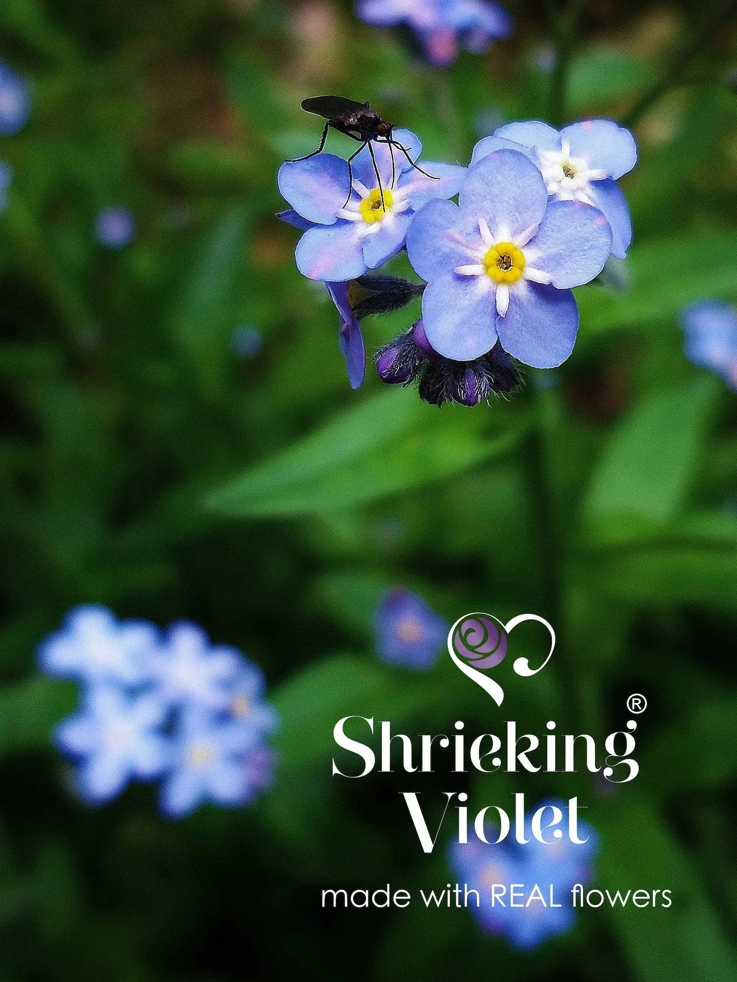 Sterling Silver Heart Bangle with Real Forget-Me-Not Flowers